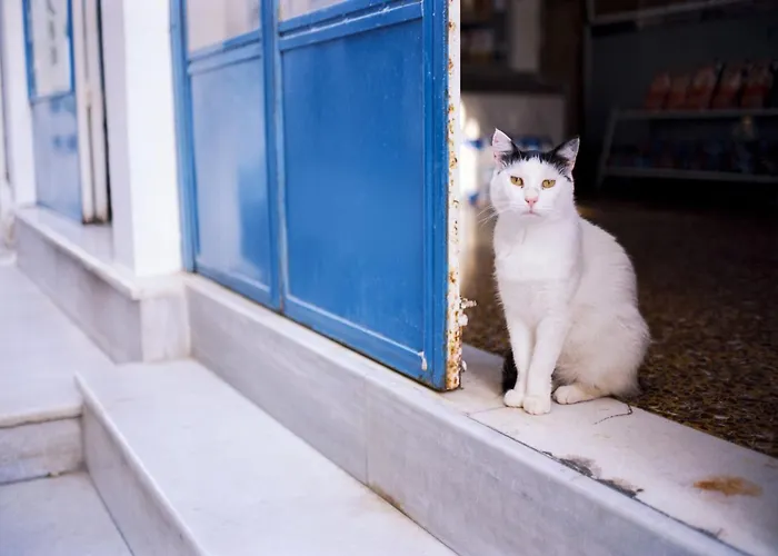别墅 Naxos Double Private Balcony Views